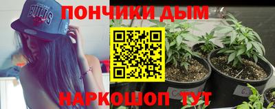 тгк Бийск