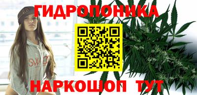 марки nbome Берёзовский