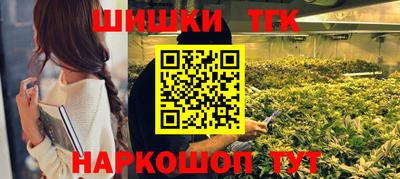 тгк Бийск