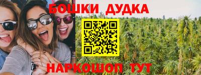 тгк Бийск