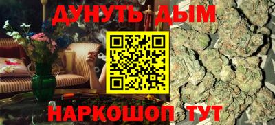 тгк Бийск