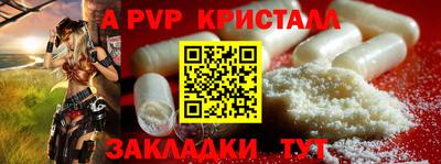 тгк Бийск