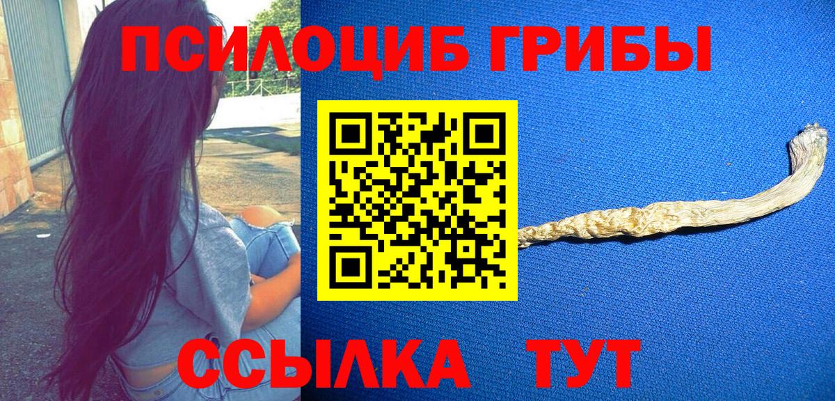 Галлюциногенные грибы GOLDEN TEACHER  Псилоцибиновые грибы прущие грибы  где продают наркотики  Кисловодск  Вход с VPN 